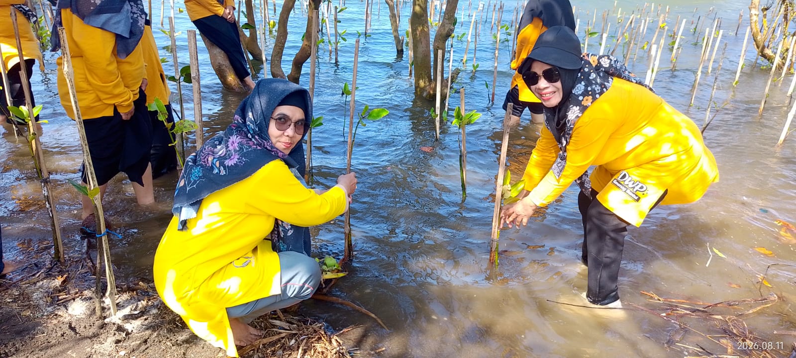 Wujud Ekoteologi, Guru MAN 3 Bantul Ikuti Penanaman Mangrove dan Pembersihan Pantai Baros